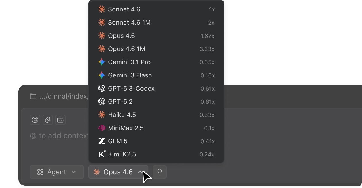 Leading Models Access